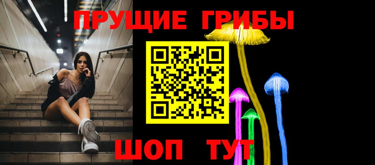 Псилоцибиновые грибы Psilocybe Владикавказ